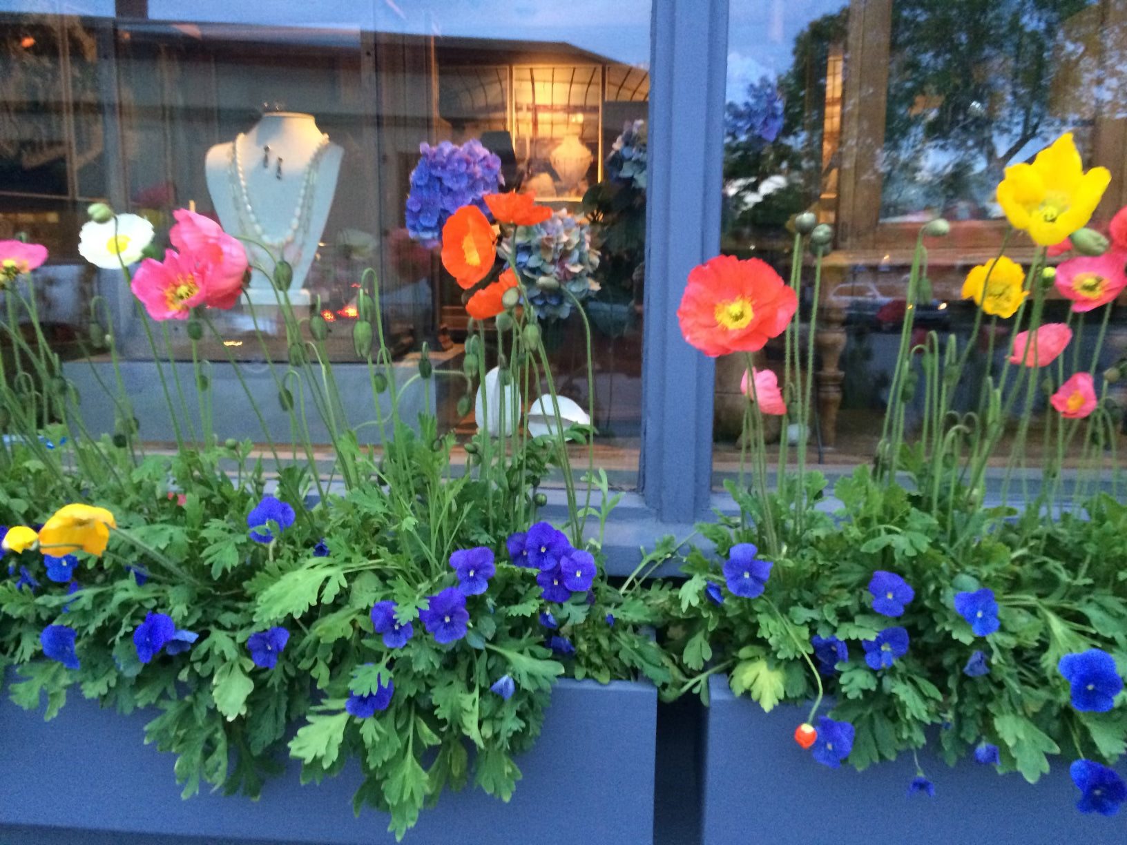 Retail Spotlight - Gladstone
