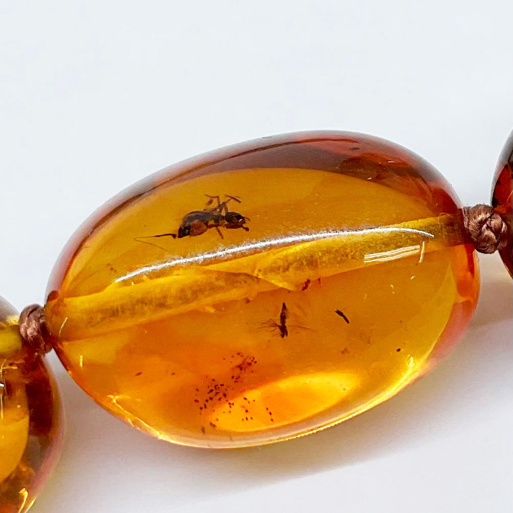 Close up of Baltic amber beads with preserved ancient insects, strung with gold clasp