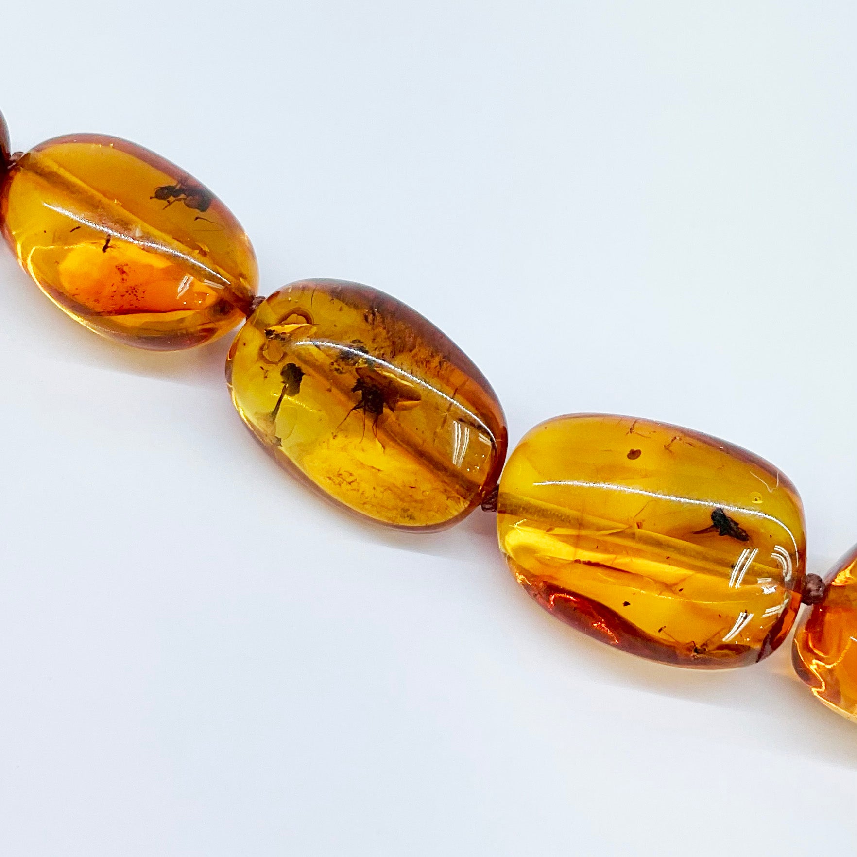 Close up of Baltic amber beads with preserved ancient insects, strung with gold clasp