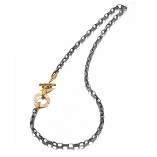 Image of oxidized silver necklace with gold accents